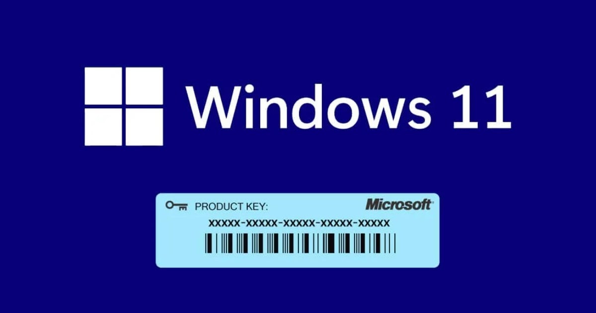 Windows 11